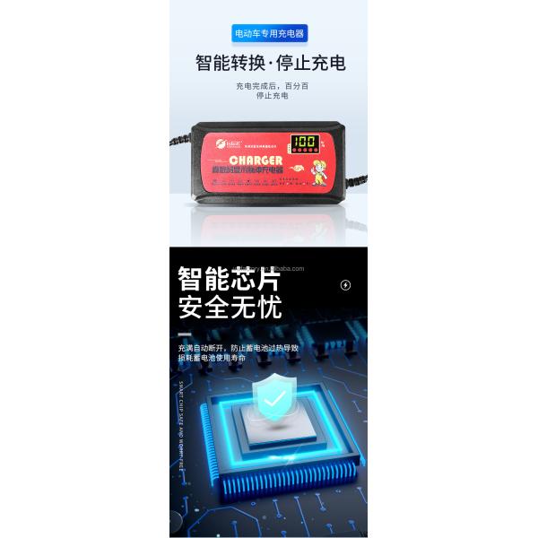 Output Voltage 48V Electric Bike Scooter Lead Acid Battery Charger for Private Mold Electric Bicycle 12AH/20AH/30AH/40AH