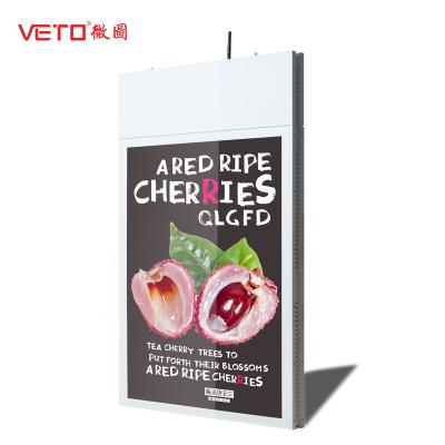 White Hanging Digital Signage 43 Inch Vivid Image Layout 50000 Long Life Cycle