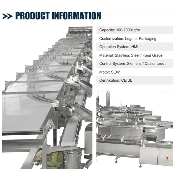 Automatic Smart Belt Feeding System Food Electric Belt Conveyor For Biscuit Product Line