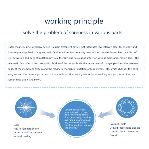 Pain Relief Laser Therapy Machine For Physiotherapy Pulsed Electromagnetic Field