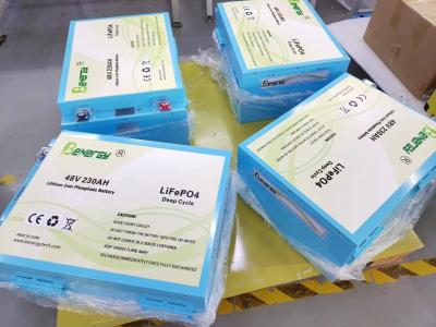 Lifepo4 Packs 48V 230AH Golf Cart Lithium Battery With LCD Screen