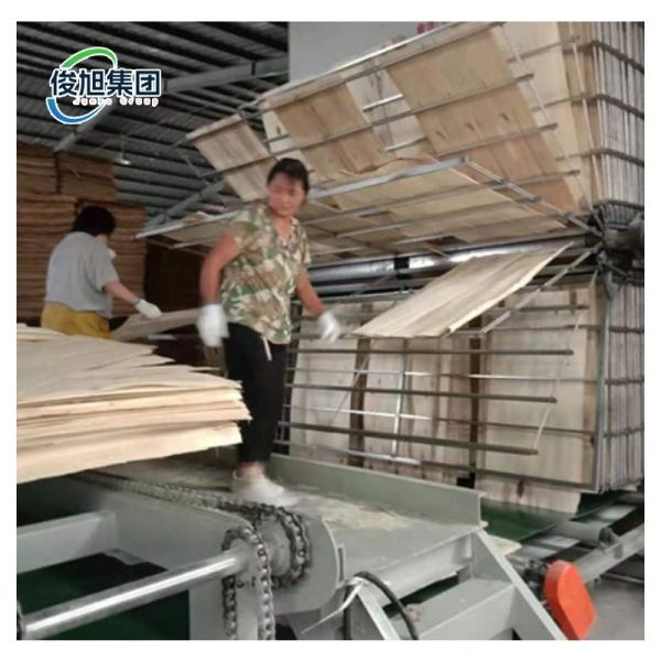 22.00KW Secador totalmente automático de chapas de madeira para desempenho de secagem multi-camadas de 8000 KG