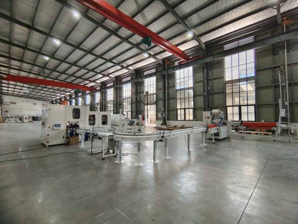 48 Rolls Bundle Small Toilet Tissue Paper Making Machine Production Line With Individual Paper Roll Packing Machine