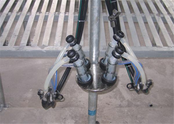 HL-G01 Dairy Farming 2x12 Goat Milking Parlor System with 6L Glass Milk Jar