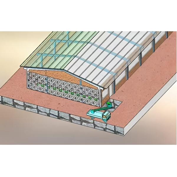 Sistema de alimentación automático de la caseta de aves de corral de acero duradero con trampolín y auger