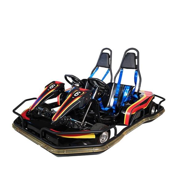 175Kg kart de Seater do Fast Track 2 para os adultos 2010*1550*590 milímetro