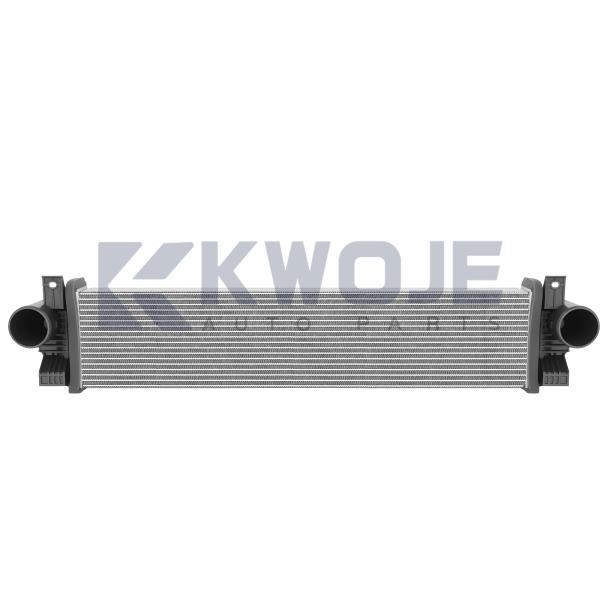 OEM 302001149AA Automotive Cooling Systerm Intercooler Tank Auto Evaporator Cooler For Chery Auto Spare Parts Exeed LX
