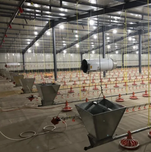 Broiler Farming Floor Raising System with Automatic Feeding Pans and Corrosion-Resistant Nipple Drinkers for Humidity Control