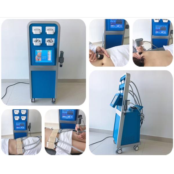 Не инвазионное проектирование -5℃ замерзая машины Cryolipolysis жирное человеческое