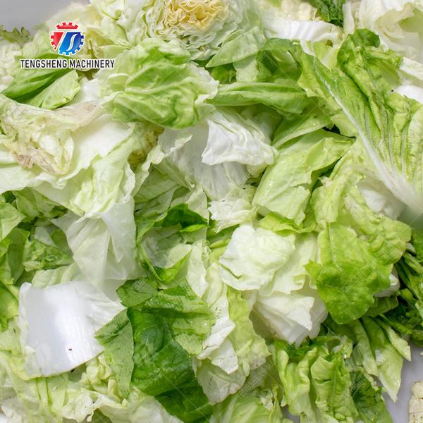 Extra-large widened leafy vegetable cutter Leafy vegetables Cabbage varieties papaya chieh-qua wax gourd Ginger Potato Carrot radish Greens Lettuce Cao Xin Baby Cabbage Chinese Cabbage Cabbage