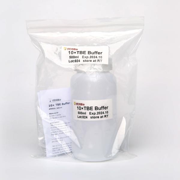 DNA 10X TBE Buffer In Gel Electrophoresis 500ml GDSBio