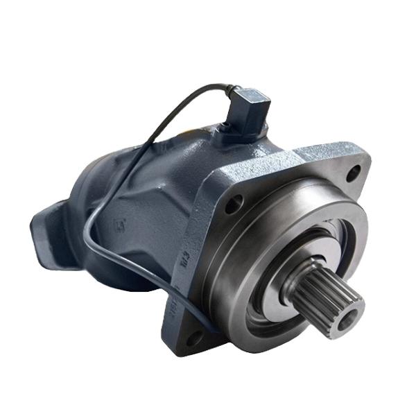 A2FM Series Of A2FM56 A2FM63 A2FM80 A2FM90 A2FM107/125 Hydraulic Motor for Crane