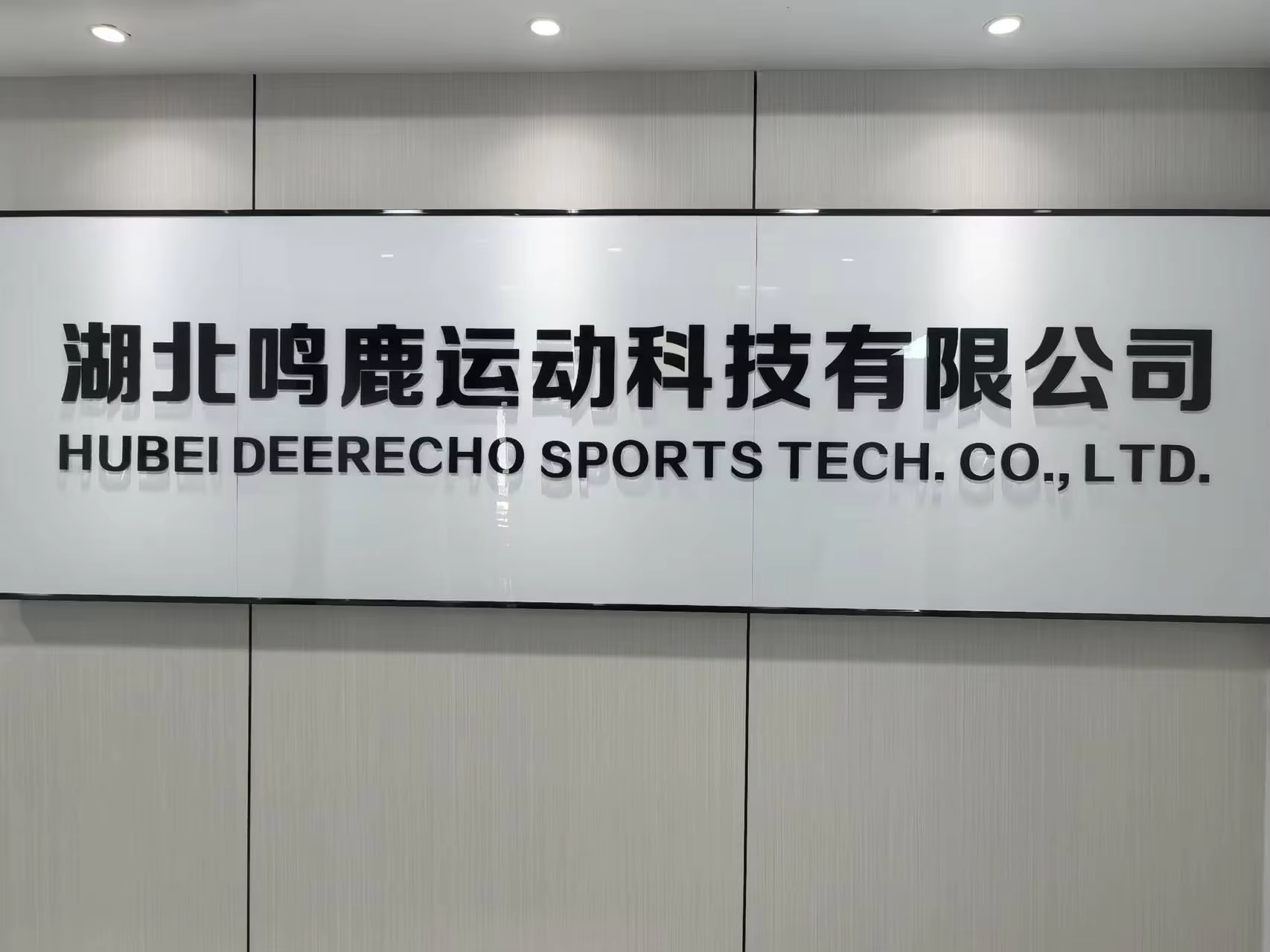 Hubei Minglu Sports Technology Co., Ltd.