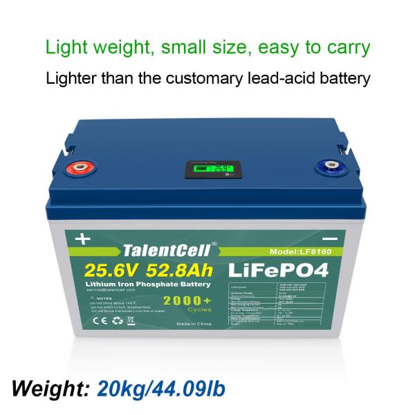 58.4V 110A Lifepo4 Lithium Battery Phosphate Multipurpose 5120Wh