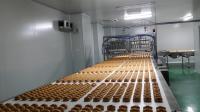 Transportes refrigerando da indústria alimentar camada reta da correia infinita da multi