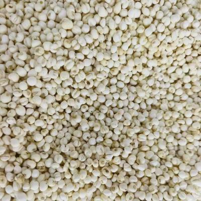 Organic Fritillaria Ussuriensis Maxim Chinese Herbs ISO9001 Certificate