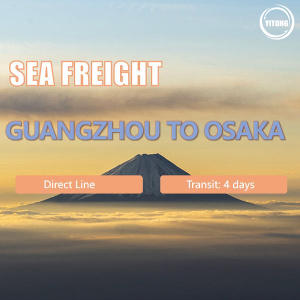 4 Days International Sea Freight Logistics From Guangzhou China To Osaka Japan