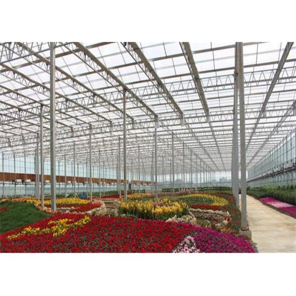 Vegetables / Fruits Agricultural Glass Greenhouse Strong Drainage Capacity