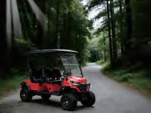 Smart Low Chassis Electric Golf Cart 4 Seats CVT Automatic Electronic Braking Anti-Rollback Downhill Speed Control