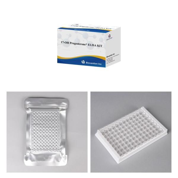 17-OH Progesterone Eluting In Vitro Diagnostic Elisa Test Kit For Women with Accessories Accurate Tests
