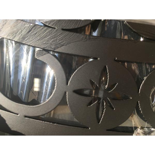 Агон стальной двери двойной двери дома роскошной чугунной стеклянный заполнил сформированный размер 22*64инч