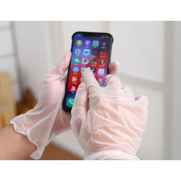 Powder free Transparent Smooth Touch Vinyl Gloves