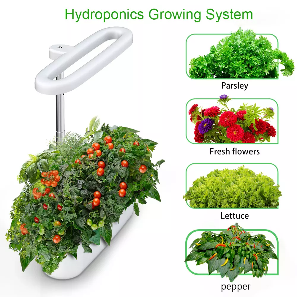 оросительная система 12W канала наборов NFT света сада травы 2.5L Hydroponic