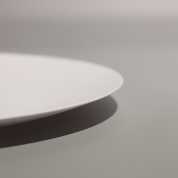 Reusable BPA Free PS Plastic Food Tray Plastic Food Plate For Hot Food