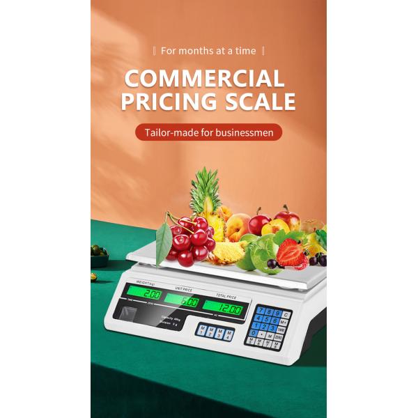 1g Division Veidt ACS Series 4v 4ah Battery Powered Digital Weight Computing Scale 20kg Max Weight User Manual Included