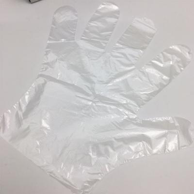 Anti Oil Transparent PE Gloves