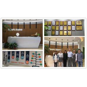 Dongguan Lanjin Optoelectronics Co., Ltd.