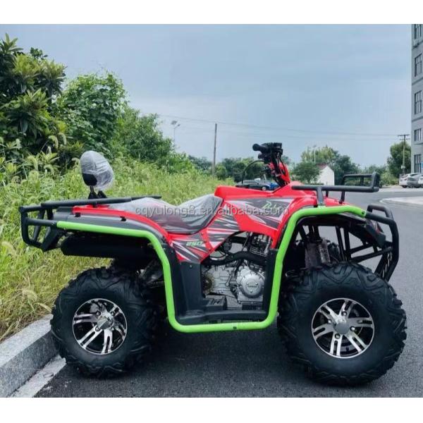 Modern Design Adult 200cc Air Cooled Chain Drive Off-Road ATV with EEC Spy Racing ATV