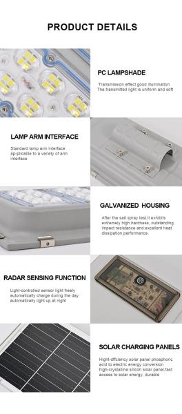 Outdoor IP65 LED Solar Street Light Smart Control Garden Lamp Waterproof