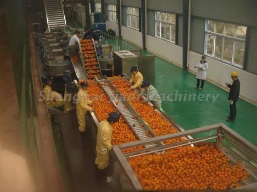 60-1500 Ton / Day Capacity Fruit Jam Making Machine For Apple / Peach / Apricot