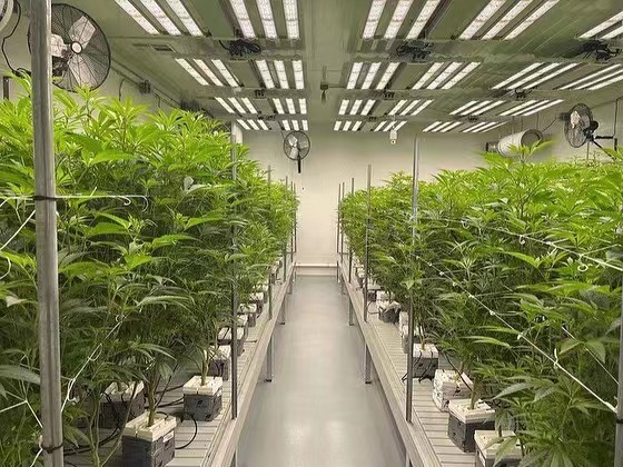 Суды стабилизированного питомника Судов 2.44m-20m потока парника Eco дружелюбного свертывая