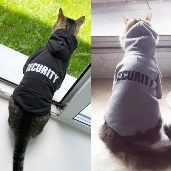 Hoodie bonito amigável do gato de Eco, trajes mornos do animal de estimação para cães pequenos