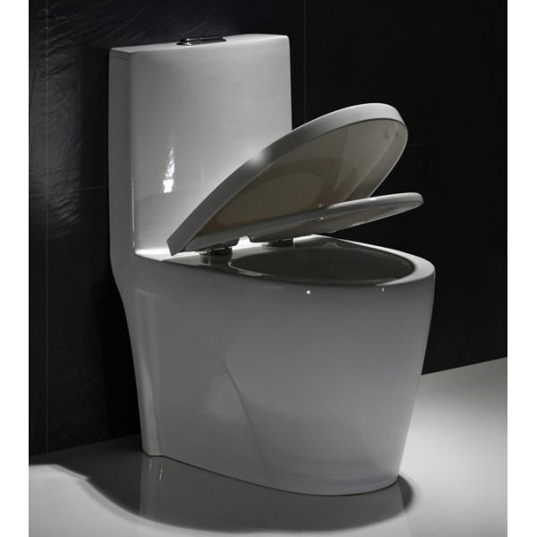 Верхний полный цельный вытянутый туалет с 11 дюймом грубый в чехле замедления