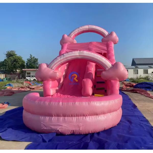 Popular Pink Inflatable Water Slide Commercial Adult Slide for Outdoor Amusement