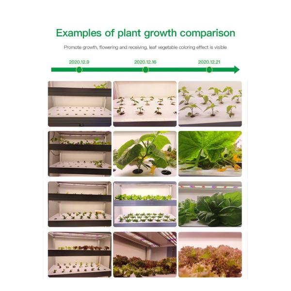 крытый завод 720W приведенный растет светлый полный спектр 5 лет гарантии