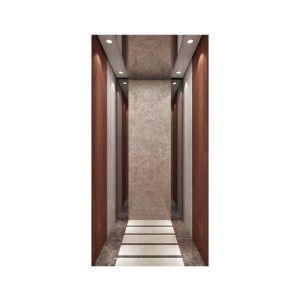 Лифта пассажира виллы VVVF подъем пассажира жилого крытый домашний небольшой