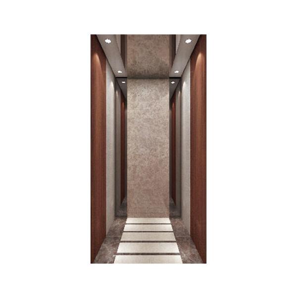 Лифта пассажира виллы VVVF подъем пассажира жилого крытый домашний небольшой