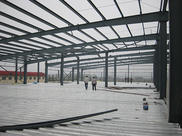 Q355B Custom Steel Structure Factory Building Prefabricated Industrial Storage Building
