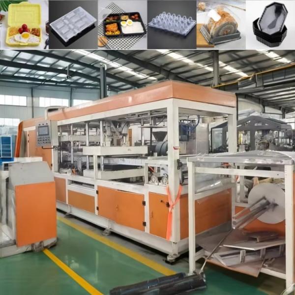 Fully Automatic Three-Station Thermoforming Machine for Plastic Egg Tray Production Zero Risk Guarantee Included