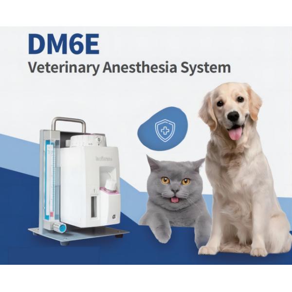 Вентилятор наркотизации ВЕТЕРИНАРА машины 110V-240V наркотизации DM6E ветеринарный