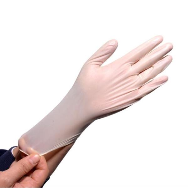 Powdered / Powder Free Clear Vinyl Glove , Latex Free Vinyl Gloves Odorless