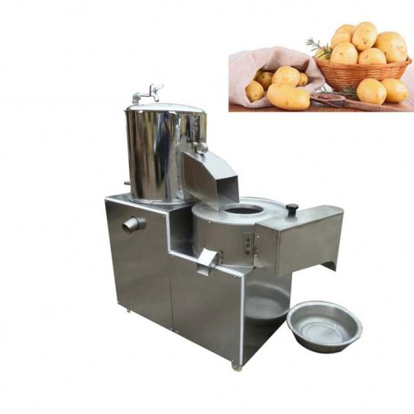 Squirrel-cage type fruit and vegetable crusher/crusher China/fruit crushing machine
