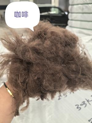 Recycled Polyester Staple Fiber 3D 51mm Non-Siliconized