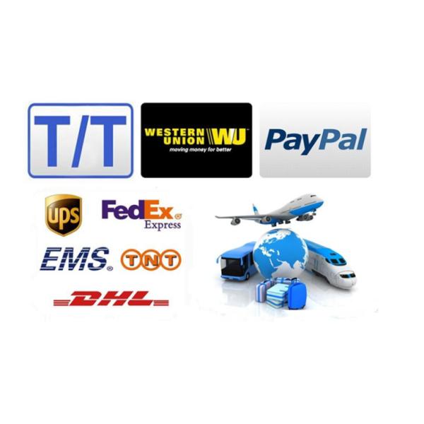 Disposable Manual PVC Child Anesthesia Mask For Pediatric General CE Certification