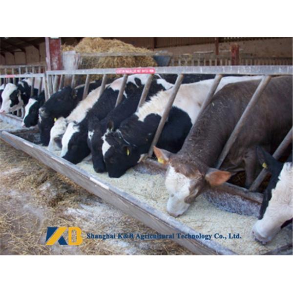 Grain Material Brown Rice Powder High Protein Increase Poultry Anti - Virus Activity