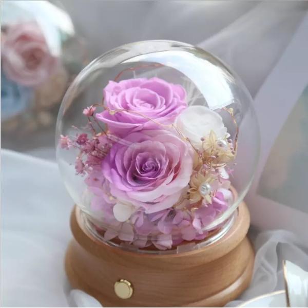 Preserved rose in glass terrariums with base for luxury gifts